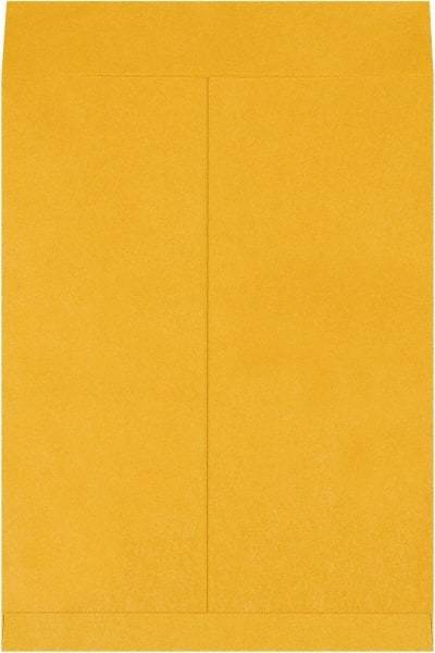 Made in USA - 20" Long x 15" Wide Regular Jumbo Envelope - Kraft - Americas Industrial Supply