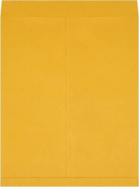 Made in USA - 27" Long x 22" Wide Regular Jumbo Envelope - Kraft - Americas Industrial Supply
