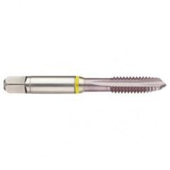 40671 2B 3-Flute Cobalt Yellow Ring Spiral Point Plug Tap-MolyGlide - Americas Industrial Supply