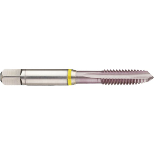 ‎8-36 3 Flute 2B Cobalt Spiral Point Plug Yellow Ring Tap-MolyGlide - Americas Industrial Supply