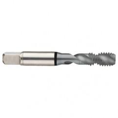 1/4-20 2B 2-Flute Cobalt Black Ring Semi-Bottoming 45 degree Spiral Flute Tap-MolyGlide - Americas Industrial Supply