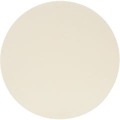 3M Trizact Hookit Film Disc 568XA White 4″ × 1/2″ Die 400R - Exact Industrial Supply