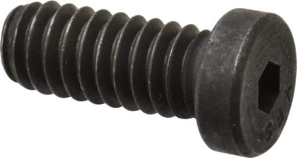 Value Collection - 1/4-20 UNC Hex Socket Drive, Low Socket Cap Screw - Alloy Steel, Black Oxide Finish, Fully Threaded, 5/8" Length Under Head - Americas Industrial Supply