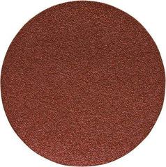 Porter-Cable - 6" Diam, 40 Grit Aluminum Oxide Adhesive PSA Disc - Coarse Grade, Tan, C Weighted Backing, Flexible, 13,000 Max RPM - Americas Industrial Supply