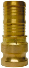 EVER-TITE Coupling Products - 2-1/2" Brass Cam & Groove Suction & Discharge Hose Male Adapter Hose Shank - Part E, 250 Max psi - Americas Industrial Supply