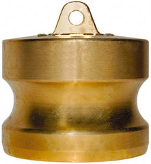 EVER-TITE Coupling Products - 2" Brass Cam & Groove Suction & Discharge Hose Dust Plug For Use with Couplers - Part DP, 350 Max psi - Americas Industrial Supply