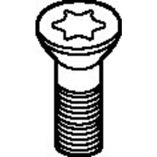 192.932 TORX SCREW M4,5X12, - Americas Industrial Supply