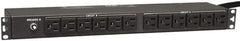 Tripp-Lite - 24 Outlets, 120 VAC30 Amps, 15' Cord, Power Outlet Strip - Rack Mount, 5-15/20R NEMA Configuration, 19" Strip - Americas Industrial Supply