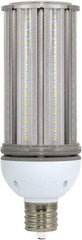 Value Collection - 45 Watt LED Commercial/Industrial Mogul Lamp - 5,000°K Color Temp, 5,400 Lumens, 100, 277 Volts, Ex39, 50,000 hr Avg Life - Americas Industrial Supply