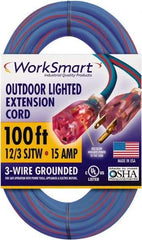 Value Collection - 100', 12/3 Gauge/Conductors, Blue/Red Outdoor Extension Cord - 1 Receptacle, 15 Amps, UL SJTW, NEMA 5-15P - Americas Industrial Supply