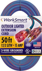 Value Collection - 50', 12/3 Gauge/Conductors, Blue/Red Outdoor Extension Cord - 1 Receptacle, 15 Amps, UL SJTW, NEMA 5-15P - Americas Industrial Supply