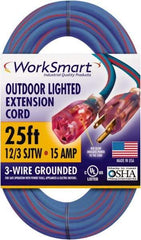 Value Collection - 25', 12/3 Gauge/Conductors, Blue/Red Outdoor Extension Cord - 1 Receptacle, 15 Amps, UL SJTW, NEMA 5-15P - Americas Industrial Supply