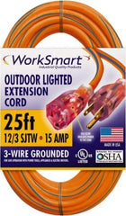 Value Collection - 25', 12/3 Gauge/Conductors, Orange/Blue Outdoor Extension Cord - 1 Receptacle, 15 Amps, UL SJTW, NEMA 5-15P - Americas Industrial Supply