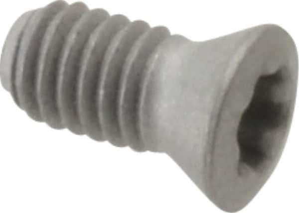 Walter - Screw for Indexable Tools - F4042 Series - Americas Industrial Supply