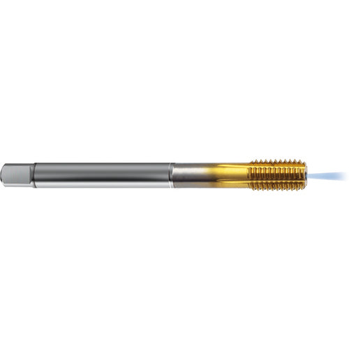 9043830048260 FORM TAP - Exact Industrial Supply