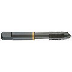 ‎8-36 H2 COB PLUG POWERTAP-OXIDE - Americas Industrial Supply