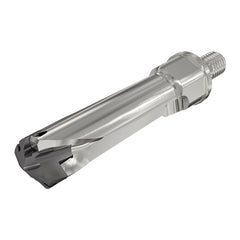 ‎DCNM 145-044-M12-3D