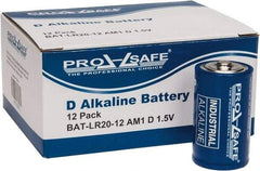 PRO-SAFE - Size D, Alkaline, Standard Battery - 1.5 Volts, Flat Terminal, LR20 - Americas Industrial Supply