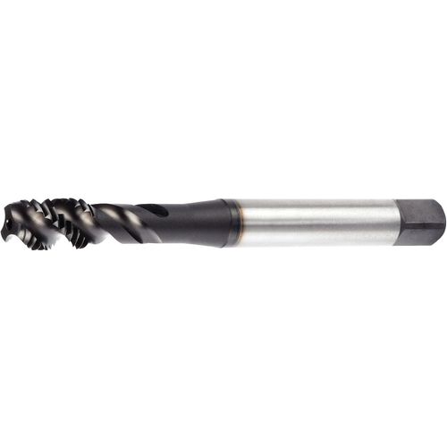 GT335001 M5X0.8 6HX RHSF BOTT 371 - Exact Industrial Supply