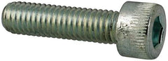 Made in USA - #10-32 UNF Hex Socket Drive, Socket Cap Screw - Alloy Steel, Zinc-Plated Finish, Fully Threaded, 3/4" Length Under Head - Americas Industrial Supply