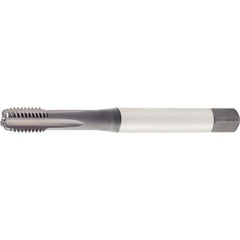 GT435002 M6X1 6HX STFL BOTT 371 - Exact Industrial Supply