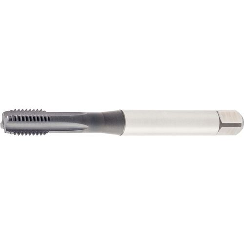 GT425001 M5X0.8 6HX STFL BOTT 371 - Exact Industrial Supply