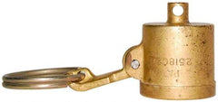 EVER-TITE Coupling Products - 3" Brass Cam & Groove Suction & Discharge Hose Dust Cap For Use with Adapters - Part DC, 250 Max psi - Americas Industrial Supply