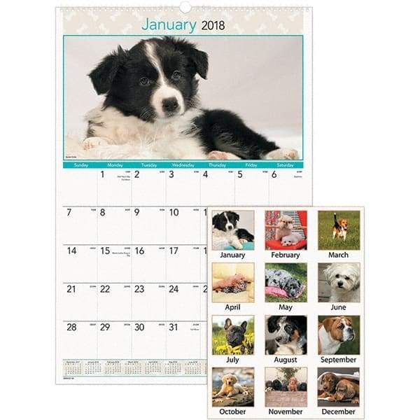 AT-A-GLANCE - 12 Sheet, 15-1/2 x 22-3/4", Wall Calendar - Puppies - Americas Industrial Supply