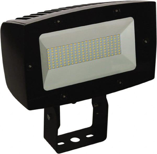 Philips - Floodlight Fixtures Mounting Type: Trunion Mount Housing Color: Bronze - Americas Industrial Supply