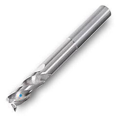 46D01224T2RQ100 IN05S S C END MILL - Americas Industrial Supply