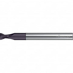 Walter-Prototyp - 12mm, 2 Flute, Solid Carbide, 0.5mm End Mill - 3-15/16" OAL, 30° Helix, Right Hand Flute, 36mm LOC, Right Hand Cut - Americas Industrial Supply