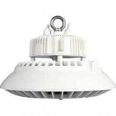 Eiko Global - 1 Lamp, 150 Watts, LED, High Bay Fixture - 11.81" Wide, 120-277 Volt, Steel Housing - Americas Industrial Supply