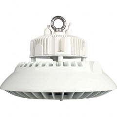 Eiko Global - 1 Lamp, 100 Watts, LED, High Bay Fixture - 11.81" Wide, 120-277 Volt, Steel Housing - Americas Industrial Supply