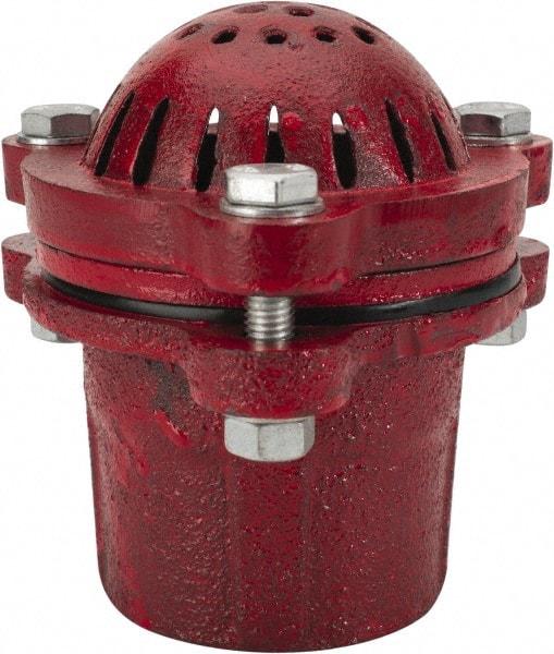 Value Collection - 2" Hose, Foot Valve - Cast Iron - Americas Industrial Supply