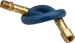 Coilhose Pneumatics - 1/4" ID 1' Long Lead-In Whip Hose - FNPT x MNPT Swivel Ends, 200 Working psi, -40 to 212°F, 1/4" Fitting, - Americas Industrial Supply