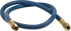 Coilhose Pneumatics - 1/4" ID 3' Long Lead-In Whip Hose - FNPT x MNPT Swivel Ends, 200 Working psi, -40 to 212°F, 1/4" Fitting, - Americas Industrial Supply