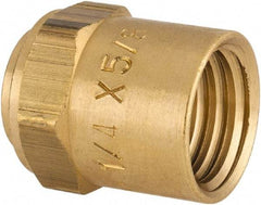 Dixon Valve & Coupling - Reusable Hose Hose Ferrule - 1/4" Hose ID x 5/8" Hose OD - Americas Industrial Supply