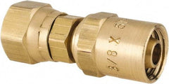 Dixon Valve & Coupling - 3/8 NPSM, Reusable Hose Female Swivel Fitting - 3/8" Hose ID x 5/8" Hose OD - Americas Industrial Supply