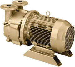 DEKKER Vacuum Technologies - 29 Hg Max, 2-1/2" ANSI 150# RF Flanged Inlet & Discharge, Single Stage Liquid Ring Vaccum Pump - 150 CFM, 10 hp, Cast Iron Housing, 316 Stainless Steel Impeller, 1,750 RPM, 230/460 Volts - Americas Industrial Supply