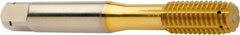 Sandvik Coromant - 2BX Form Thread Forming Tap - Powdered Metal High Speed Steel, 12mm Thread Length - Americas Industrial Supply