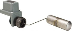 Square D - 4 NEMA Rated, DPST, Float Switch Pressure and Level Switch - Line-Load-Load-Line Terminal - Americas Industrial Supply