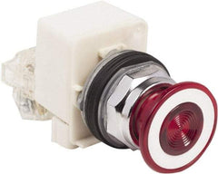 Schneider Electric - 30mm Mount Hole, Extended Straight, Pushbutton Switch with Contact Block - Red Pushbutton, Maintained (MA) - Americas Industrial Supply