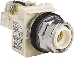 Schneider Electric - 120 VAC LED Indicating Light - Screw Clamp Connector - Americas Industrial Supply
