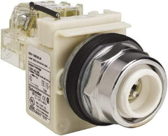 Schneider Electric - 120 VAC LED Indicating Light - Screw Clamp Connector - Americas Industrial Supply