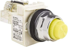 Schneider Electric - 120 VAC Yellow Lens LED Pilot Light - Round Lens, Screw Clamp Connector - Americas Industrial Supply