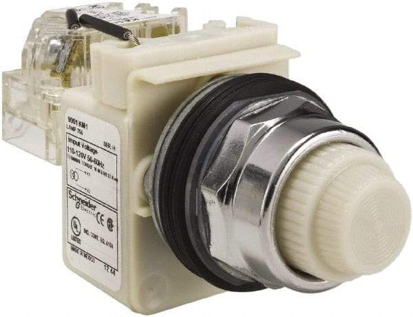 Schneider Electric - 120 VAC White Lens Indicating Light - Screw Clamp Connector - Americas Industrial Supply