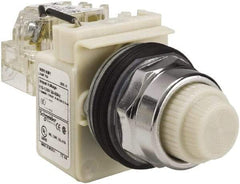 Schneider Electric - 120 VAC White Lens Indicating Light - Screw Clamp Connector - Americas Industrial Supply