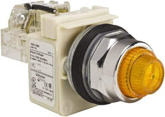 Schneider Electric - 120 VAC Amber Lens Indicating Light - Screw Clamp Connector - Americas Industrial Supply