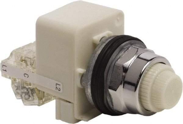 Schneider Electric - 120 VAC White Lens LED Indicating Light - Screw Clamp Connector - Americas Industrial Supply