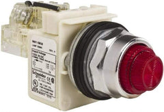 Schneider Electric - 120 VAC Red Lens Indicating Light - Screw Clamp Connector - Americas Industrial Supply